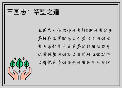 三国志：结盟之道